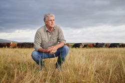 Thinking, serious and professional farmer on a field with herd of cows and calves in a open nature grass field outside on cattle farm. Agriculture man, worker or business owner looking at