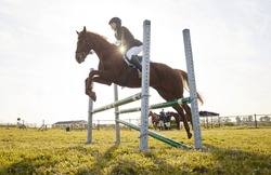 In riding a horse, we borrow freedom. Shot of a young rider jumping over a hurdle on her horse.