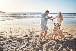 Happy couple, holding hands and at the beach with a dog in summer for retirement travel in Indonesia. Smile, playful and an elderly man and woman on a walk at the sea with a pet for play and holiday
