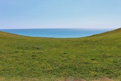 A green cliff-top meadow in front of a blue ocean and cloudless sky. Nature background, wallpaper and graphic resource of sunny summer near the ocean (Seven Sisters Cliff Walk, England, UK)