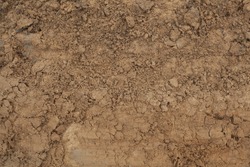 The texture of the mud or wet soil