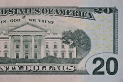 Macro of part of the US Twenty dollar bill