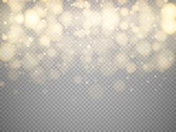 Golden bokeh lights with glowing particles isolated. Vector illustration