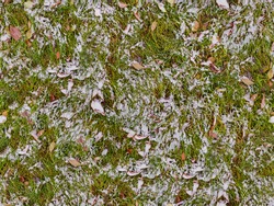 Green grass under first white snow background, seamless pattern texture for use in print design