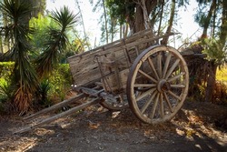 An old wagon abandoned in the field. Photografy color, horizontal.