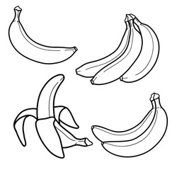 Linear drawing banana isolated on white background. Sketch for coloring booking page. Vector illustration