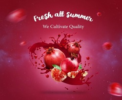 pomegranate Splashes background I Summer Background I Fruit Juice