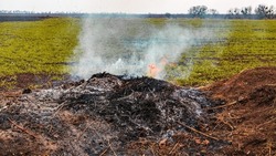 Burnt place after controlled burn - mound of ashes after material is burned down. Heap is located on green grass. Green grass and sky background.