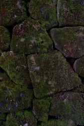 moss texture that beautifies the shape of the stone