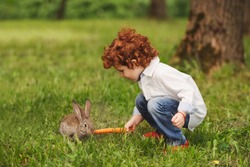 litle boy plays with rabbit in park