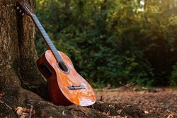 Acoustic guitar on a tree. Acoustic guitar. String musical instrument. Autumn mood. Autumn days. copyspace