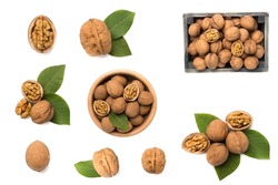 Nuts collage on white background