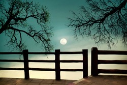 View night fullmoon silhouette of dead tree with wood terrace nature background