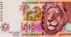 Transvaal Lions with cub drinking water at center, male lion head. Portrait from South Africa 50 Rand 1992  Banknotes. 