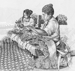 Two weavers, Portrait from Western Samoa 1 Tala 1980 Banknotes.