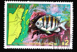 BELIZE - CIRCA 1982: A stamp printed in Belize shows fish , circa 1982