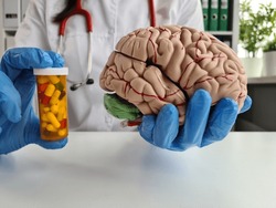 Nocebo effect concept. Female doctor holding brain model and placebo supplement pill. Medicines correctors of cerebral circulation and memory improvement