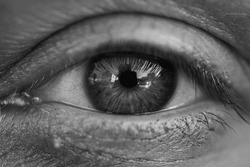 Human eye detail black and white