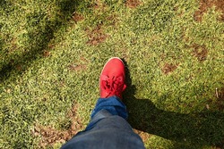 Human Red shoes in grass