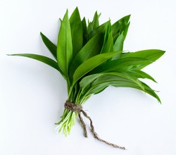 Ramson, bunch of wild garlic isolated on white background