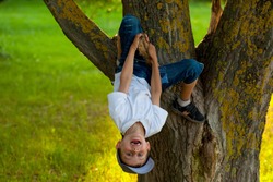 A 7 year old boy dangling on a tree, looking happy and smiling, enjoying being in nature 