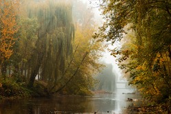 Autumn river in fog