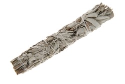 White sage smudge stick isolated on a white background from above