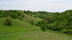 Beautiful green hills, pastures and trees of Zagajica hills near Vrsac, Serbia