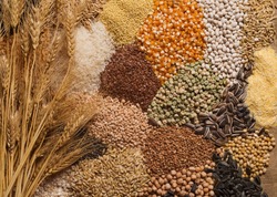 Cereal grains , seeds, beans