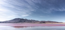 Pink lake with flamingos with a mountain behind 