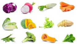 mix set collection vegetable fresh isolated on white background red cabbage, potato , radish ,pumpkin ,pea , broccoli , lettuce 