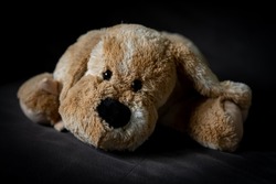 Plush toy dog. Fabric, soft dog, children's toy, cuddly toy. A little dog on a dark background.
