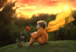 A little boy, a prince, sits with a rose flower at sunset