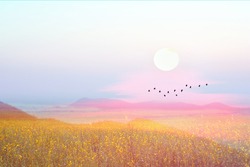 sunrise on morning pastel sky over hill and the mountain and silhouette bird flying