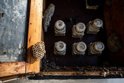 Old empty honeycomb in an old electrical panel with white fuses. Close up honeycomb