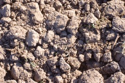 Clods of soil pattern background