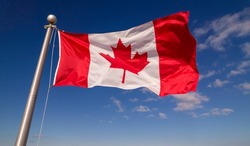 Canadian flag flying at summer blue sky. Canadian flag waving on the wind, unfiltered and natural lighting. North America, Canada.