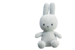 Little rabbit toys isolate on white background.