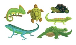 Amphibian Animals Species Collection, Turtle, Chameleon, Lizard, Crocodile, Salamander Vector Illustration