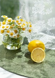 Daisy fresh wild flowers in glass jar, half lemons, on green placemat. Summer still life scene with wild daisy chamomile flowers. White tulle background in sunlight, beautifully patterned shadows.