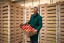 Portrait of worker holding crate full of red apples in organic food factory warehouse.