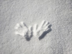 Hand prints in the snow