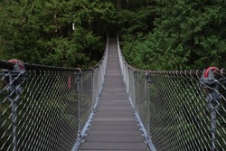 Lynn Canyon Suspension Bridge and Park Trails