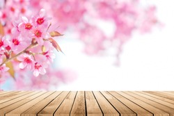Empty wooden table platform with Cherry blossom background. For product display