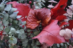 Bouquet of maroon flowers. Christmas red flowers with eucalyptus. Tail flower.