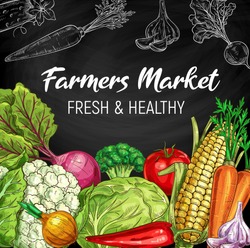 Farm market vegetables, chalkboard vector sketch. Vegetarian salads and vegan organic food, cauliflower and broccoli, cabbage, corn and pepper, tomato, beet and corn, garlic and carrot