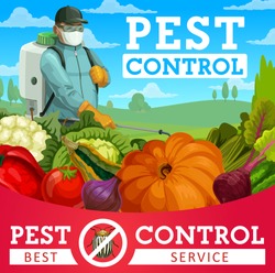 Agriculture pest control vector design with colorado beetle insect, vegetables and pest control service exterminator. Farmer spraying pesticide or herbicide with pump sprayer on farm field
