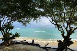 Southeast Asia.Gili islands.Sea view through the trees.Clean beach.Crystal clear sea.