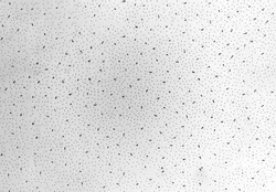 Dense grunge textured drawn black spots. Drawing dotted pattern. Vector  minimalist seamless pattern. Dot hand drawn background. 