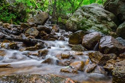 Water gentle moving through mountain stream